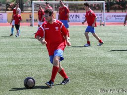 2014 (16)